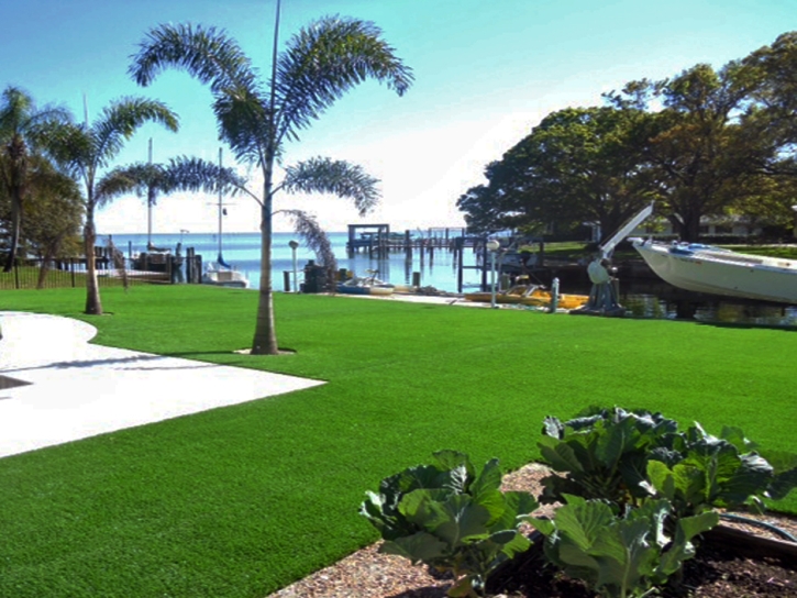 Synthetic Grass Lake Panasoffkee, Florida Home And Garden, Backyard Design