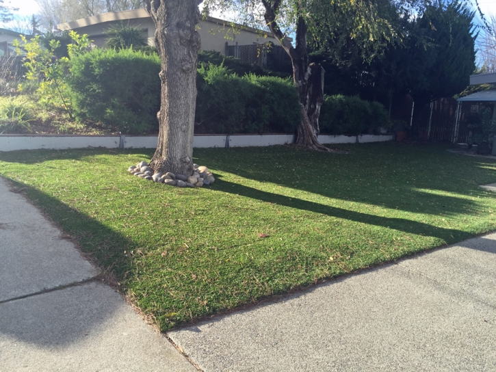 Synthetic Grass North Port, Florida City Landscape, Front Yard Landscaping