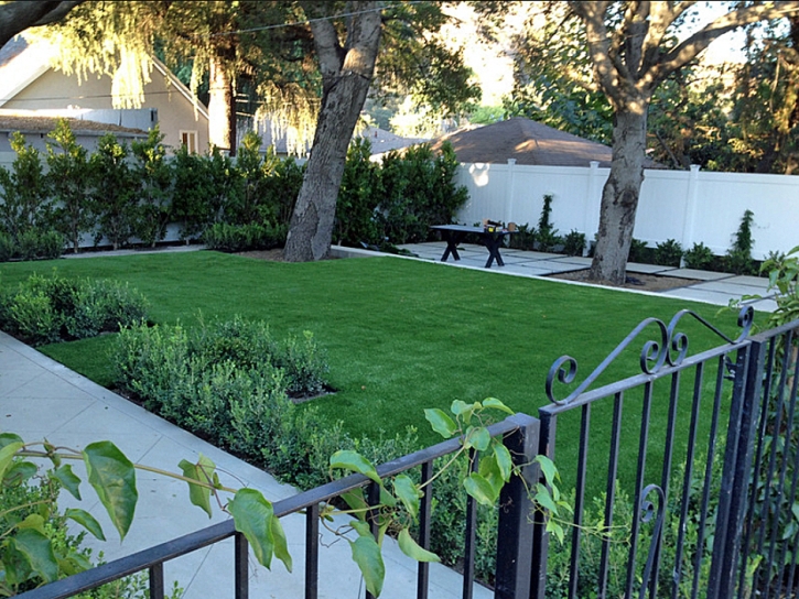 Synthetic Grass Sarasota Springs, Florida Roof Top, Front Yard Landscaping