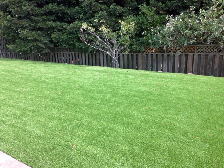 Synthetic Grass Sebastian, Florida Landscape Rock, Backyard