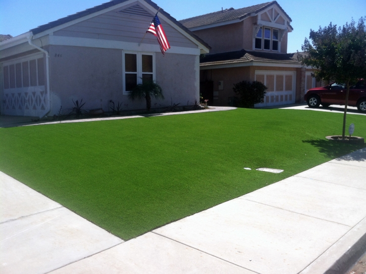 Synthetic Grass Webster, Florida Landscape Ideas, Front Yard Ideas