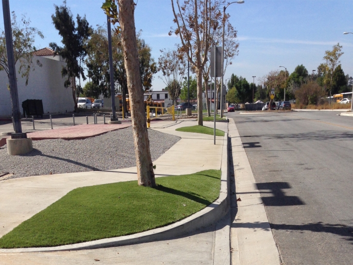 Synthetic Lawn Beacon Square, Florida Lawns, Commercial Landscape