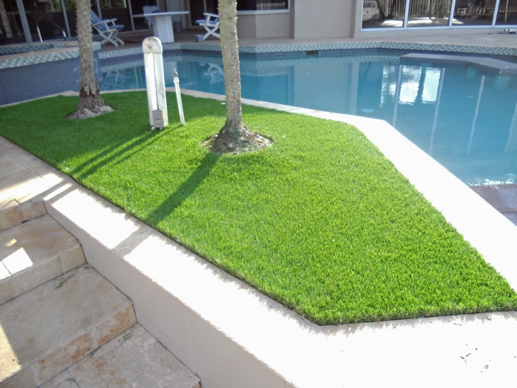 Synthetic Lawn Gulfport, Florida Landscaping Business, Backyard Landscaping