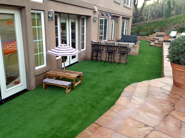 Synthetic Lawn Hawthorne, Florida Roof Top, Backyard Garden Ideas