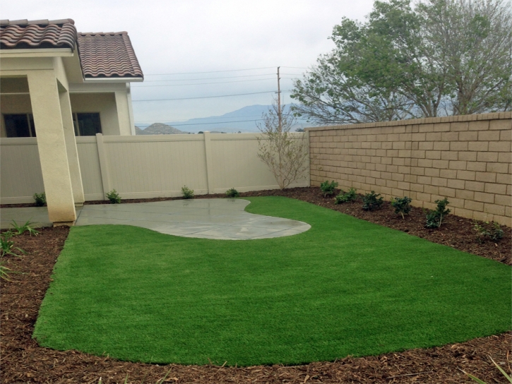 Synthetic Lawn Sebring, Florida Rooftop, Backyard Landscape Ideas