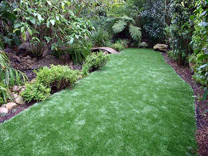 Synthetic Turf Alva, Florida Landscaping Business, Backyards