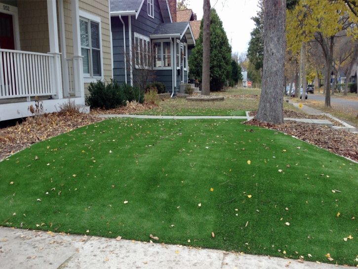 Synthetic Turf Babson Park, Florida Backyard Deck Ideas, Front Yard Landscaping