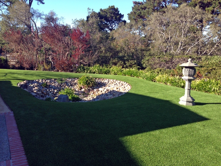 Synthetic Turf Boyette, Florida Home And Garden, Backyard Landscaping