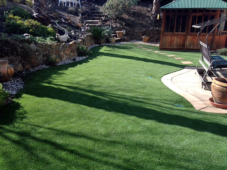 Synthetic Turf Campbell, Florida Landscape Ideas, Backyard Landscape Ideas