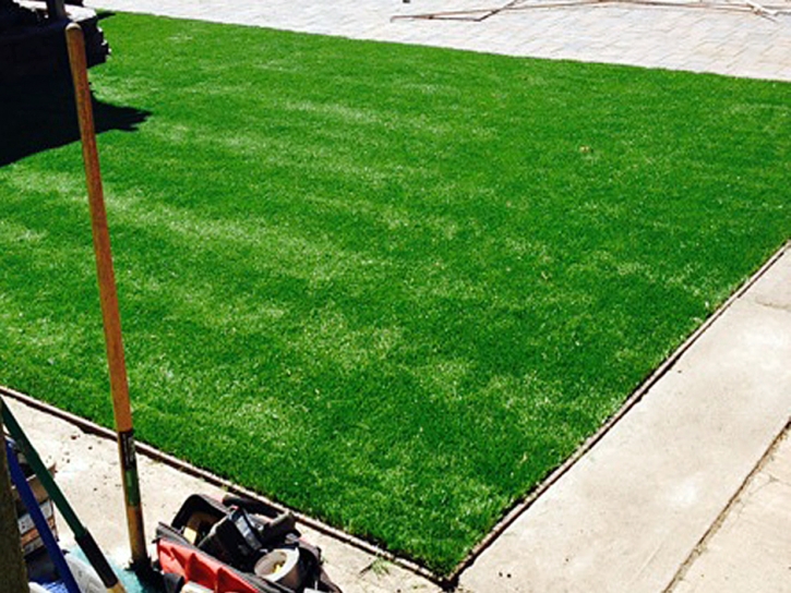 Synthetic Turf DeBary, Florida Gardeners