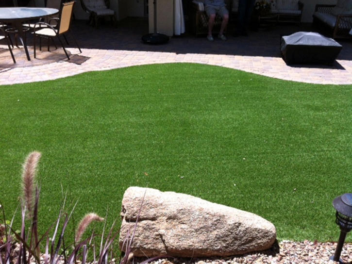 Synthetic Turf Harlem, Florida Rooftop, Backyard Ideas