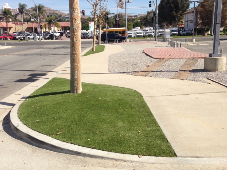 Synthetic Turf Oldsmar, Florida Lawn And Landscape, Commercial Landscape