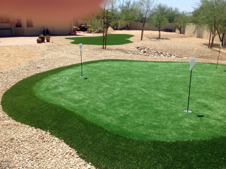 Synthetic Turf Palm Bay, Florida Artificial Putting Greens, Backyard