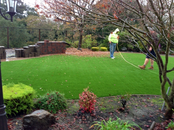 Synthetic Turf Palm River-Clair Mel, Florida City Landscape, Backyard Garden Ideas