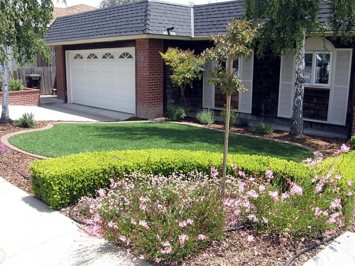 Synthetic Turf Poinciana, Florida Landscaping, Front Yard Landscaping Ideas