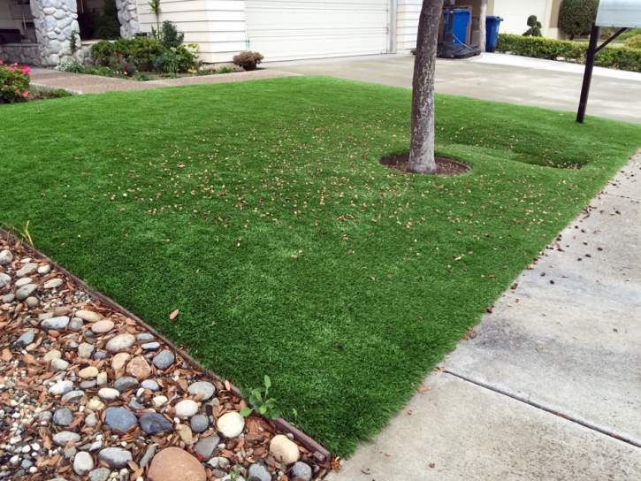 Synthetic Turf Siesta Key, Florida City Landscape, Front Yard Landscape Ideas