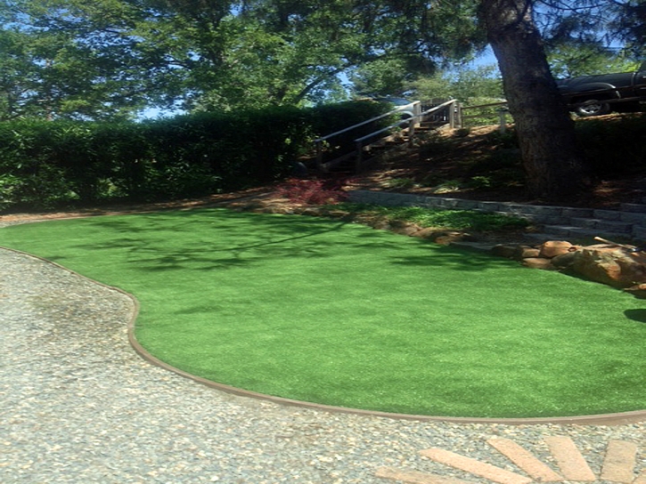 Synthetic Turf South Pasadena, Florida Backyard Playground, Backyard Landscape Ideas