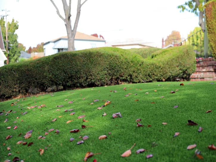 Synthetic Turf Supplier Bayshore Gardens, Florida Landscape Photos, Front Yard