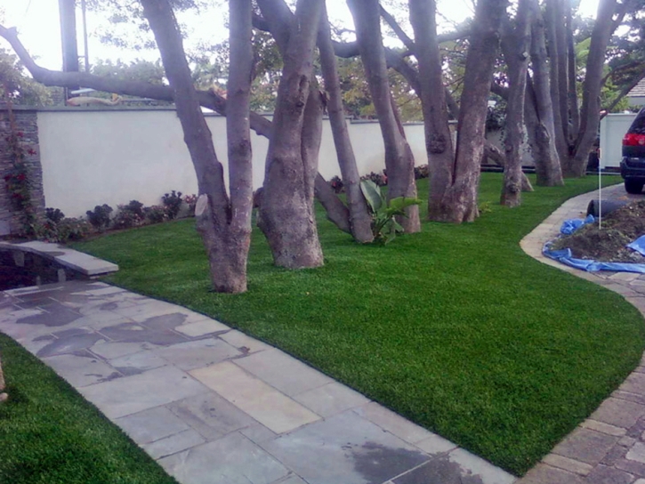 Synthetic Turf Supplier Charleston Park, Florida Landscaping Business, Landscaping Ideas For Front Yard