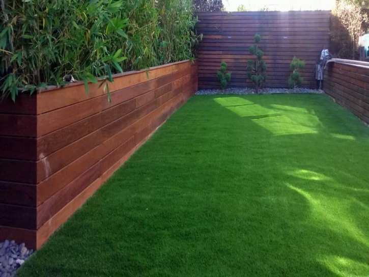 Synthetic Turf Supplier Hawthorne, Florida Landscape Photos, Backyard Landscaping Ideas