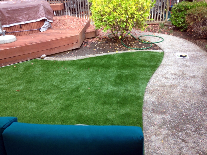 Synthetic Turf Supplier Hernando Beach, Florida Landscaping, Backyard Garden Ideas