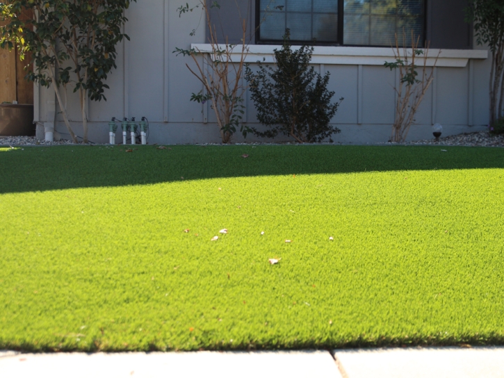 Synthetic Turf Supplier Holden Heights, Florida Lawn And Landscape, Front Yard Landscaping