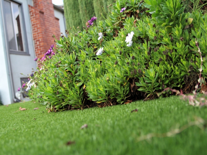 Synthetic Turf Supplier Homeland, Florida Landscaping, Front Yard Landscape Ideas