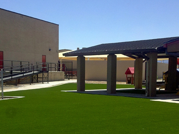 Synthetic Turf Supplier Lacoochee, Florida Landscape Design, Commercial Landscape