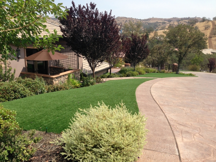 Synthetic Turf Supplier Nobleton, Florida Lawn And Landscape, Front Yard Landscaping