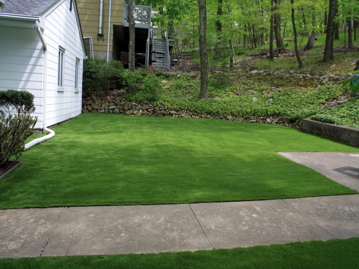 Synthetic Turf Supplier Winter Garden, Florida Landscape Photos, Front Yard Ideas