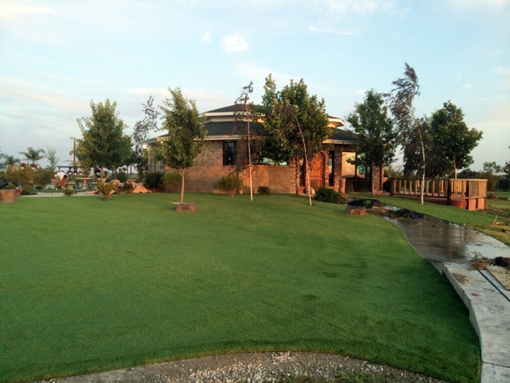 Synthetic Turf Supplier Zephyrhills West, Florida Landscape Ideas, Commercial Landscape