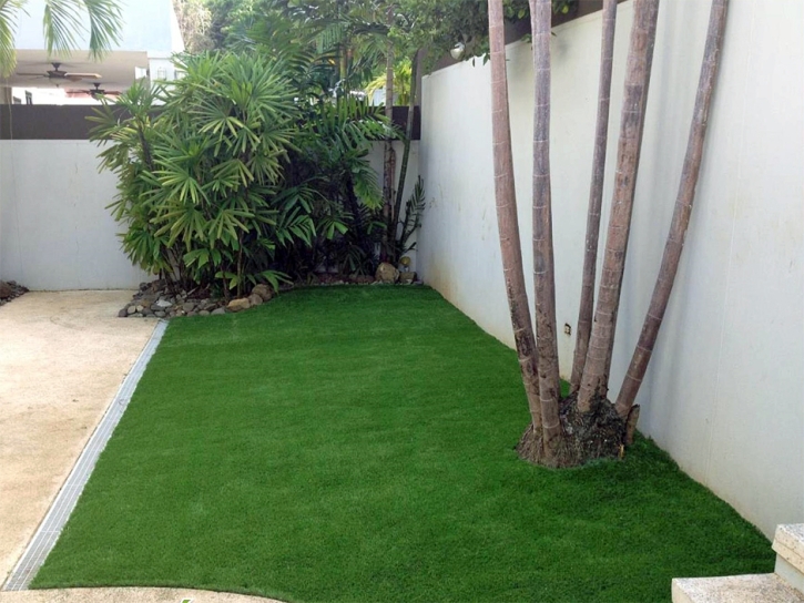 Synthetic Turf West Melbourne, Florida Garden Ideas, Backyard Ideas