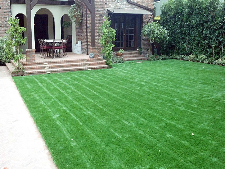 Turf Grass Floral City, Florida Garden Ideas, Front Yard Design