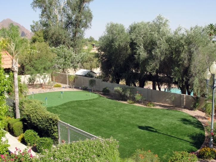 Turf Grass Frostproof, Florida Backyard Playground, Backyard Ideas