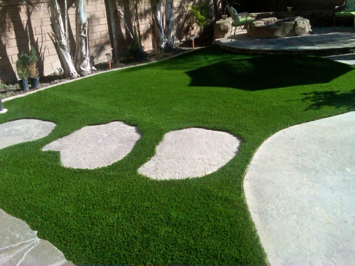 Turf Grass Hill n Dale, Florida Landscape Design, Backyard