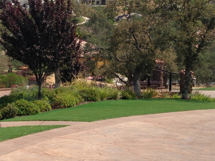 Turf Grass Manasota Key, Florida Landscape Photos, Backyard Design