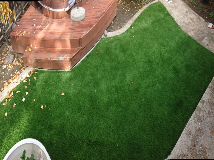 Turf Grass Sarasota, Florida Backyard Playground, Backyard Makeover