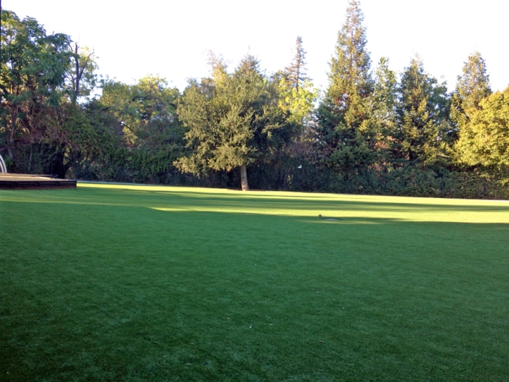 Turf Grass Siesta Key, Florida Backyard Playground, Recreational Areas