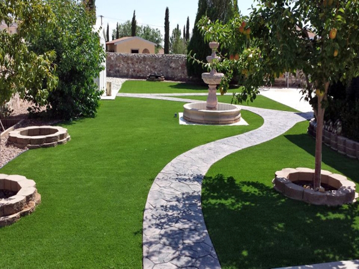 Turf Grass South Apopka, Florida Lawns, Backyard Garden Ideas