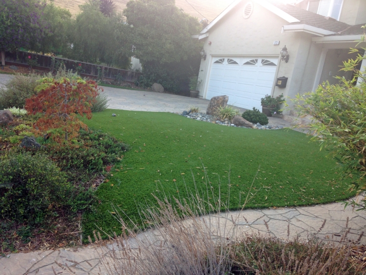 Turf Grass Zephyrhills South, Florida Paver Patio, Front Yard Ideas