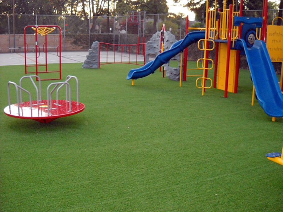 Artificial Grass Tampa Florida Playgrounds